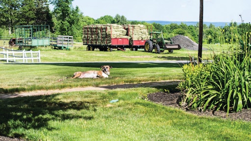 Dogdays Propartsdirect 11545589