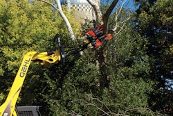 Edge Hi Reach 11578712