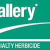 Gallery Sc Usa 05 No Diamond 4 C