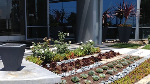 Top-tier award-winning project: the Excelsior Award (awarded to a company who has been a CLCA member for less than a year for their outstanding project), given to Cadre Landscape of Los Angeles for Wateridge project in Los Angeles.