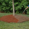 EnviroColor can really freshen up pine straw, and also extend its life.