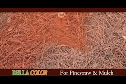 BellaColor of Hilton Head Island