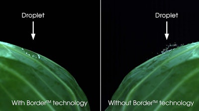 Border T O Spray Performance Adjuvant 54fddee3d9f1e