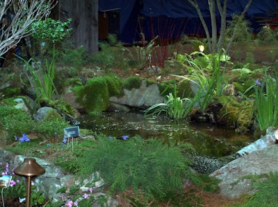 'An Enchanted New England Woodland Walk'