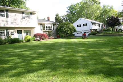 M R Landscape Design In Westfield New Jersey Company Profile