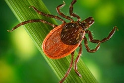 Deer Tick 55ddfef2da9f3