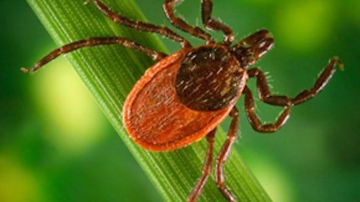 Deer Tick 55ddfef2da9f3