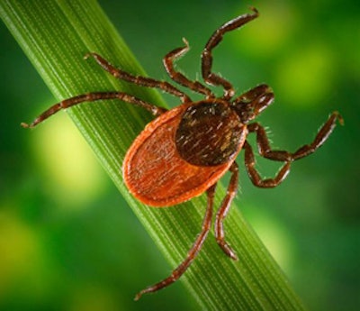 Deer Tick 55ddfef2da9f3