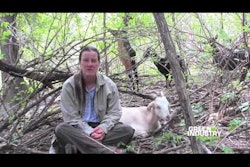 We’re Not Kidding Around - There Are Goats in the Business