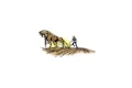 logo header 56129f73205f4