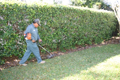 Tall Hedge 56d9c3a16d2ee