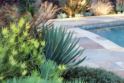 Bliss Garden Design, original photo on Houzz
