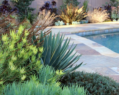 Bliss Garden Design, original photo on Houzz
