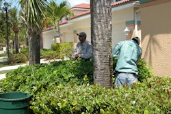 landscaping detail crew 57c72a0516f7c