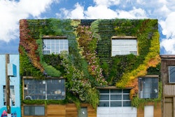 Living Wall #1 - Planted Design, original photo on Houzz