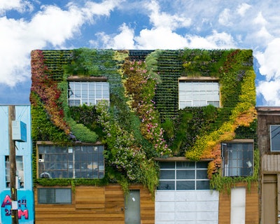 Living Wall #1 - Planted Design, original photo on Houzz