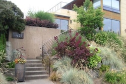 Photo 1: Contemporary Landscape, original photo on Houzz