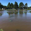 Image of Nursery South in Lumberton, NC – October 10, 2016