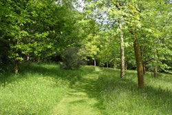 Grass Guide 5: Rebecca Smith Garden Design, original photo on Houzz