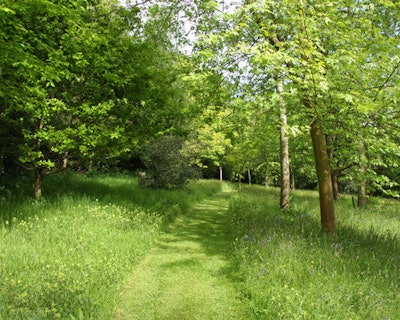 Grass Guide 5: Rebecca Smith Garden Design, original photo on Houzz
