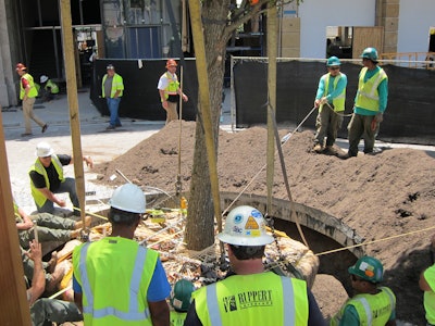 Photo courtesy of Ruppert Landscape