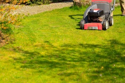 houston tx lawn mowing web 590b905210457