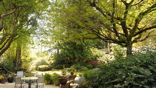 Backyard 5935d0d9936a5