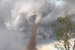 Cecilia Wessels 5935c564eab35