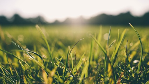 Grass 5936c497e6898