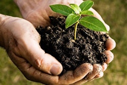 Plant Hands 5939972da8dc7