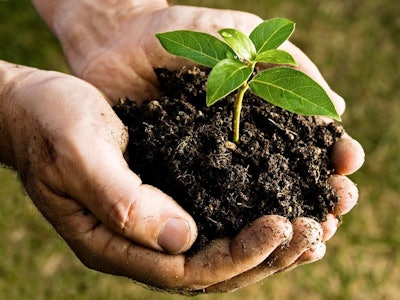 Plant Hands 5939972da8dc7