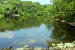 Pond 595672c650604
