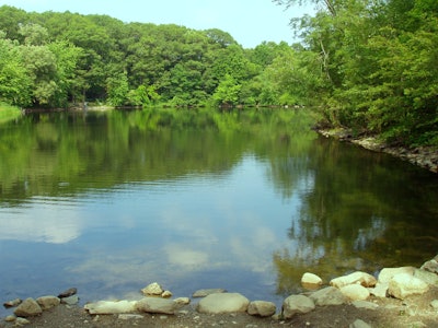 Pond 595672c650604