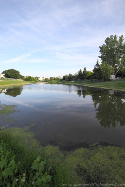 Retention pond on Grandmont Blvd facing south 5942da017c6fd