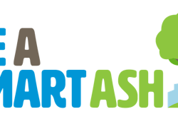SmartAsh Logo horizontal notagline 59317ebb46963