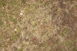 Drought 597a375ce14d1