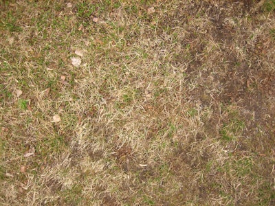 Drought 597a375ce14d1