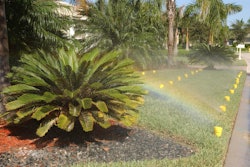 Irrigation 5967add65b2f3