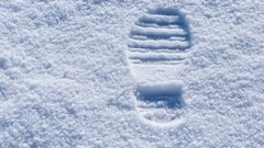 Snowprint 596e22e583168