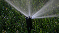 Sprinkler 595e87bb28533