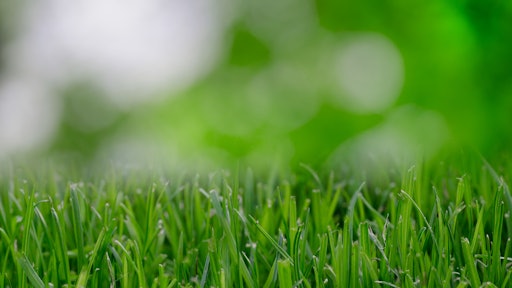 nature garden grass lawn 595e62633c0a8