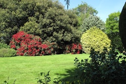 Grass Summer Park Garden Sunny Day Lawn Nature 1307337 59a4c19c322e0