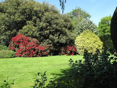 Grass Summer Park Garden Sunny Day Lawn Nature 1307337 59a4c19c322e0