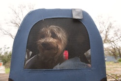 Hurricane Harvey 2017 170827 H NI589 293 36848995715 59aecd931e0e0