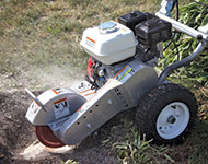 200 6HC ACTION CMYK 36 59ee3422041c8