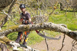 Bahco Pruning Height 59d531b7f0f2d