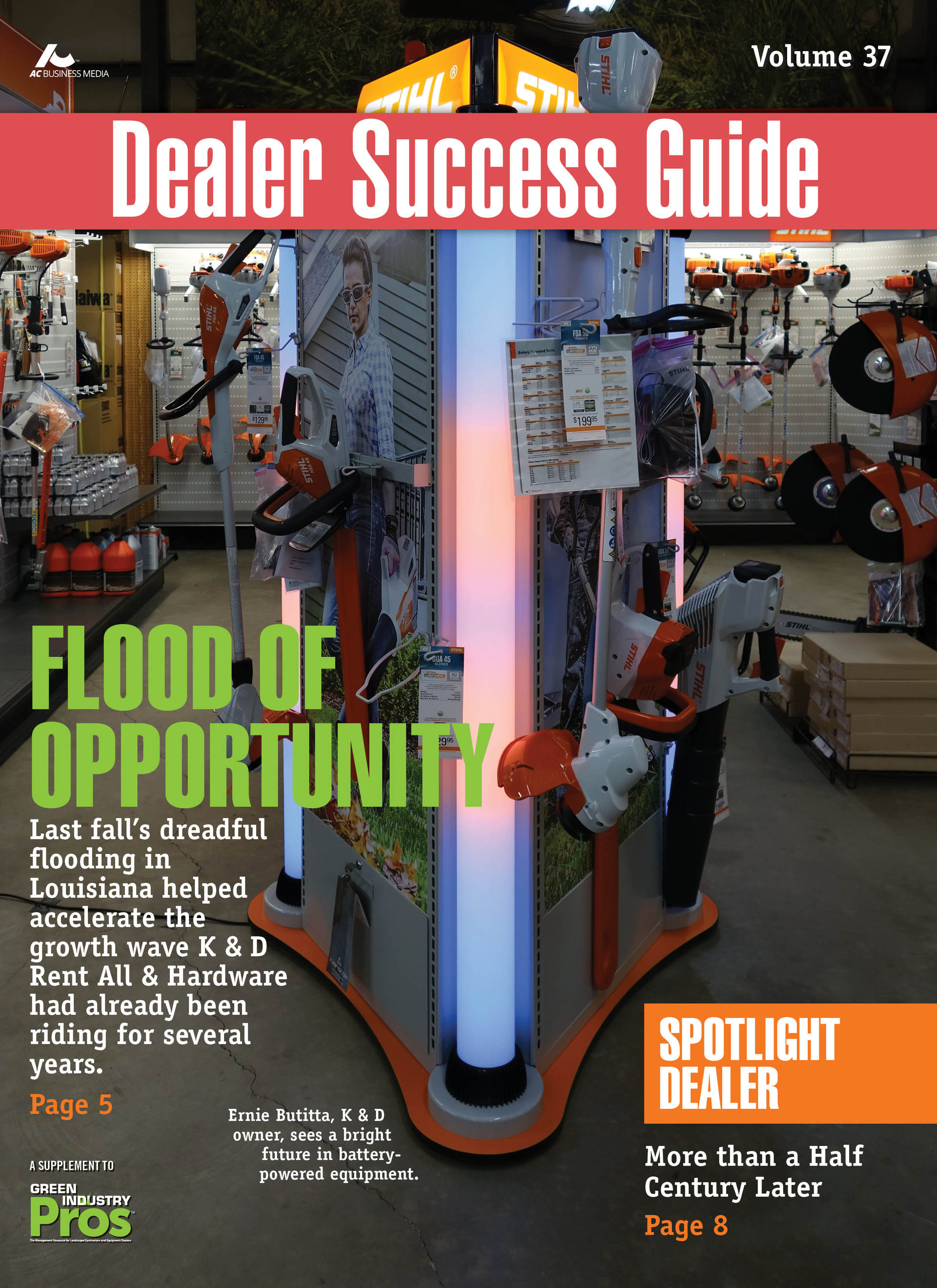 DSGV37 1 cover 59de80e407491