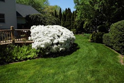 Landscaping 59d67a427dab0