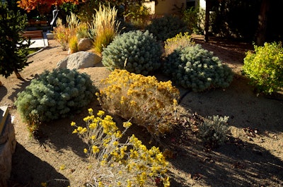 Xeriscaping 59dbaa6eeea45