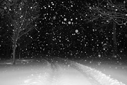 Night Snow 5a386fb69008d